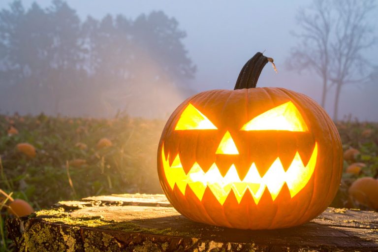 Halloween Brand Activations and Experiences