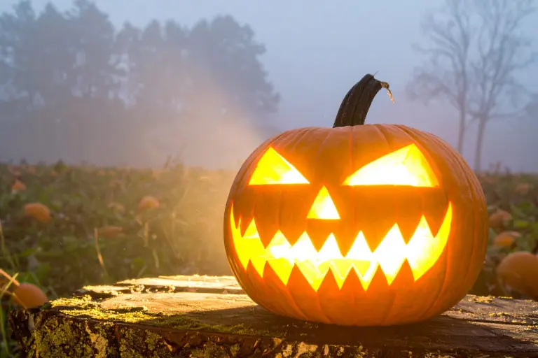 Halloween Brand Activations and Experiences